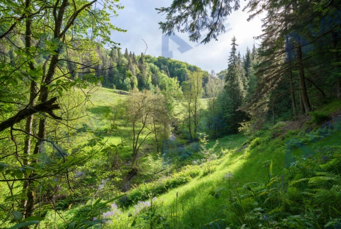 Глобальный рост отрасли органических удобрений и кошачьих лотков