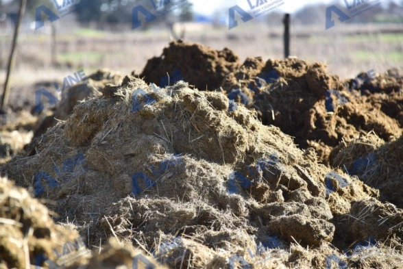 органоминеральных удобрений