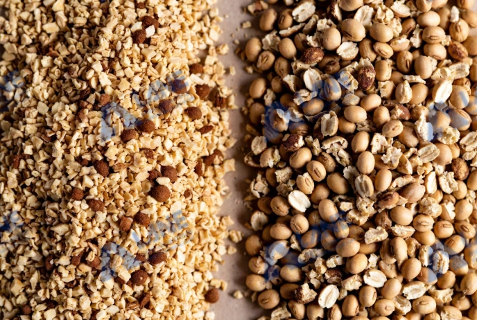 Глобальный рост отрасли органических удобрений и кошачьих лотков